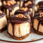 Chocolate & Peanut Butter Cheesecake Bites | No Bake!