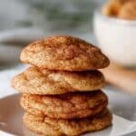 Sourdough Snickerdoodles