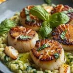 Creamy Basil Risotto with Seared Sea Scallops Recipe