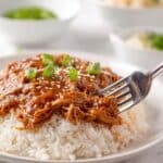 Crockpot Huli Huli Chicken Recipe
