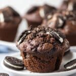 Oreo Muffins