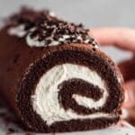 Chocolate Cake Roll