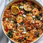 One Pot Harissa Shrimp and Feta Orzo